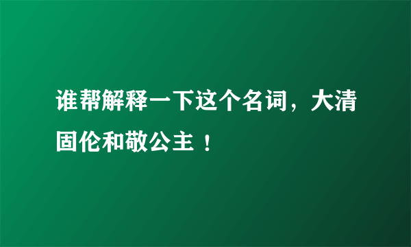 谁帮解释一下这个名词，大清固伦和敬公主 ！