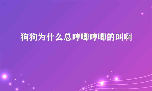 狗狗为什么总哼唧哼唧的叫啊