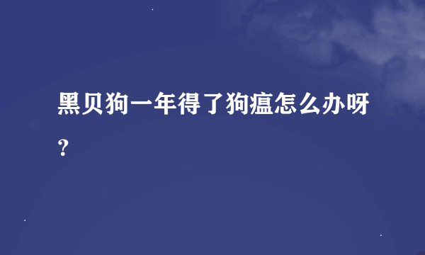 黑贝狗一年得了狗瘟怎么办呀？