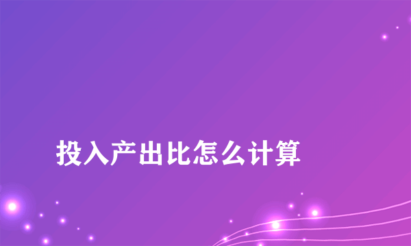 
投入产出比怎么计算
