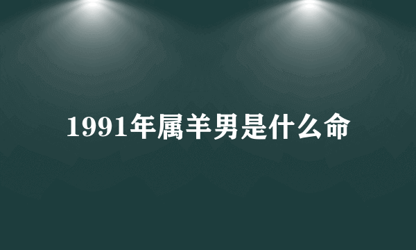 1991年属羊男是什么命