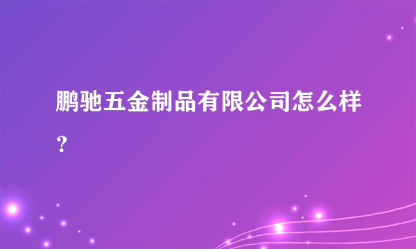 鹏驰五金制品有限公司怎么样？