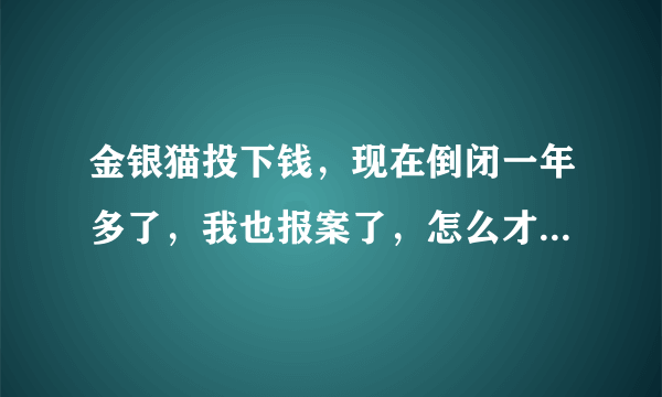 金银猫投下钱，现在倒闭一年多了，我也报案了，怎么才能追回我自己血汗钱呢？