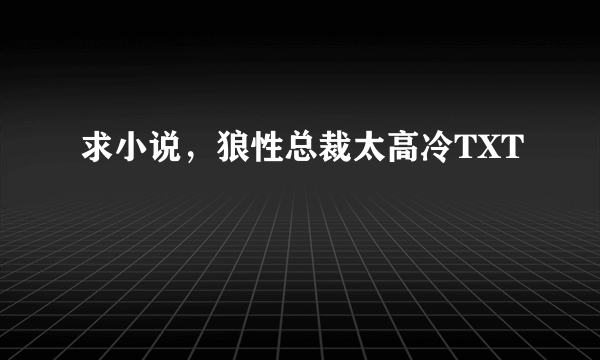 求小说，狼性总裁太高冷TXT