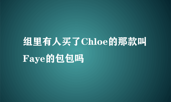 组里有人买了Chloe的那款叫Faye的包包吗