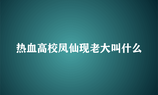 热血高校凤仙现老大叫什么