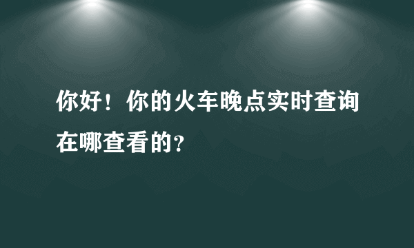 你好！你的火车晚点实时查询在哪查看的？