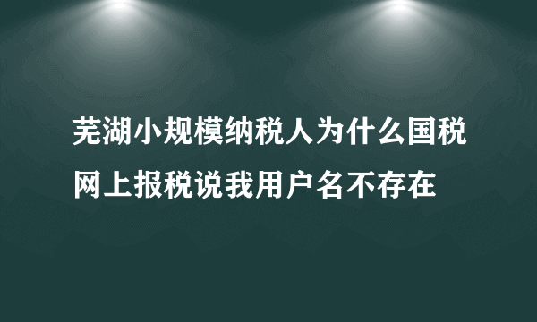 芜湖小规模纳税人为什么国税网上报税说我用户名不存在