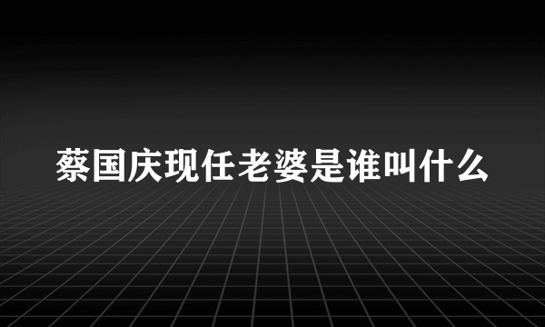 蔡国庆现任老婆是谁叫什么