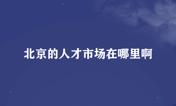 北京的人才市场在哪里啊