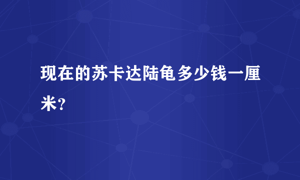 现在的苏卡达陆龟多少钱一厘米？