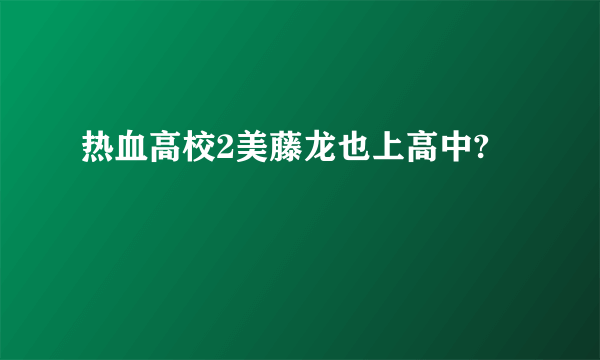 热血高校2美藤龙也上高中?