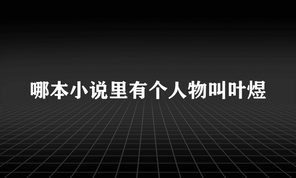 哪本小说里有个人物叫叶煜