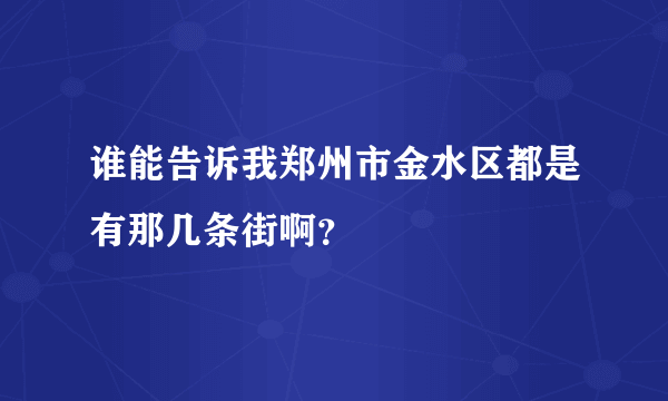 谁能告诉我郑州市金水区都是有那几条街啊？