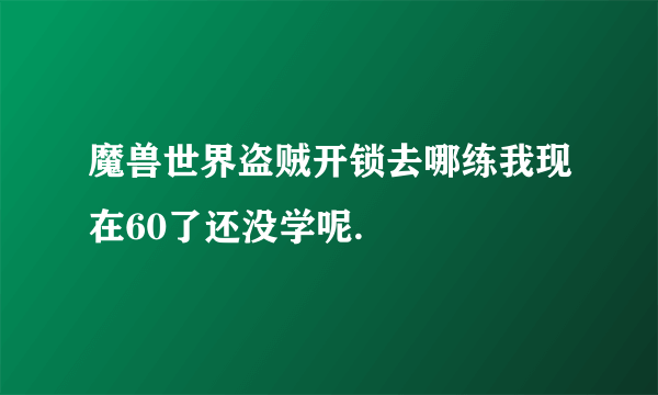 魔兽世界盗贼开锁去哪练我现在60了还没学呢.