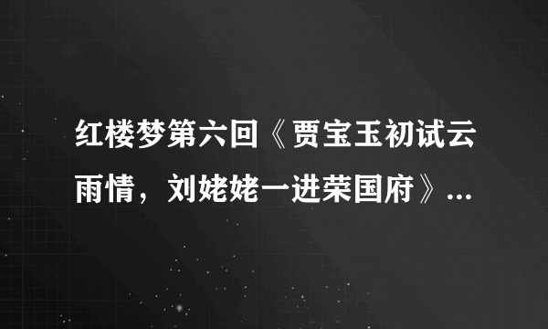 红楼梦第六回《贾宝玉初试云雨情，刘姥姥一进荣国府》的100字简介