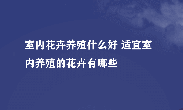 室内花卉养殖什么好 适宜室内养殖的花卉有哪些