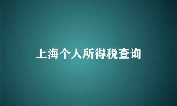 上海个人所得税查询