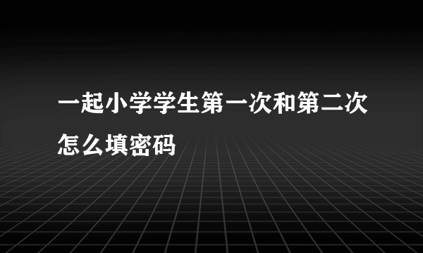 一起小学学生第一次和第二次怎么填密码