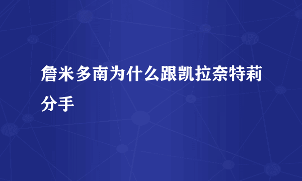 詹米多南为什么跟凯拉奈特莉分手