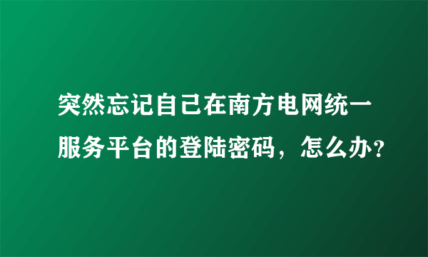 突然忘记自己在南方电网统一服务平台的登陆密码，怎么办？