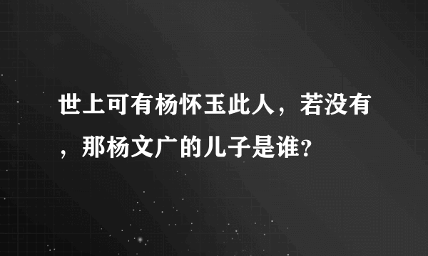 世上可有杨怀玉此人，若没有，那杨文广的儿子是谁？