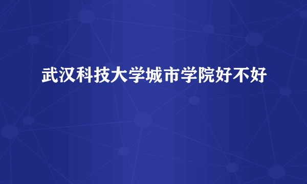 武汉科技大学城市学院好不好