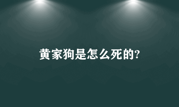 黄家狗是怎么死的?