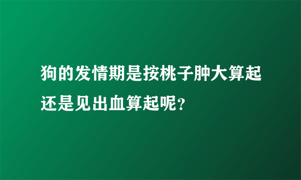 狗的发情期是按桃子肿大算起还是见出血算起呢？