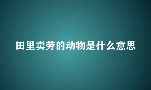 田里卖劳的动物是什么意思