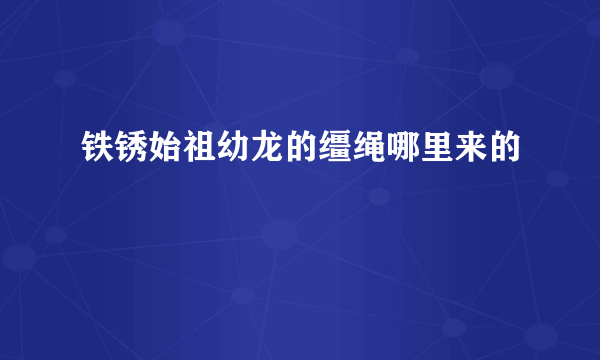 铁锈始祖幼龙的缰绳哪里来的