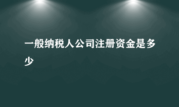 一般纳税人公司注册资金是多少