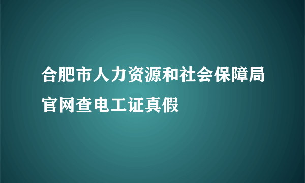 合肥市人力资源和社会保障局官网查电工证真假