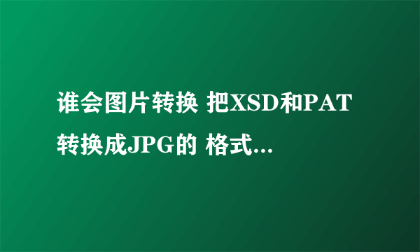 谁会图片转换 把XSD和PAT转换成JPG的 格式 谢谢大家了