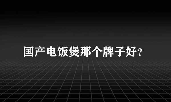 国产电饭煲那个牌子好？