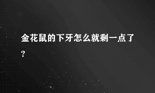 金花鼠的下牙怎么就剩一点了？