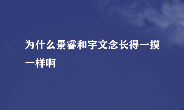 为什么景睿和宇文念长得一摸一样啊