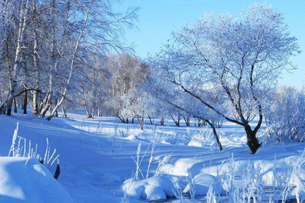 给我一些写雪景的诗句