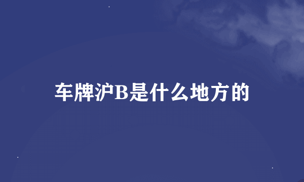 车牌沪B是什么地方的