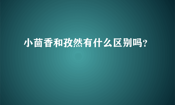 小茴香和孜然有什么区别吗？