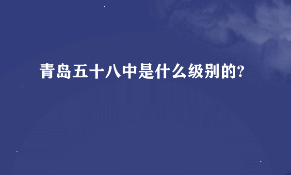 青岛五十八中是什么级别的?