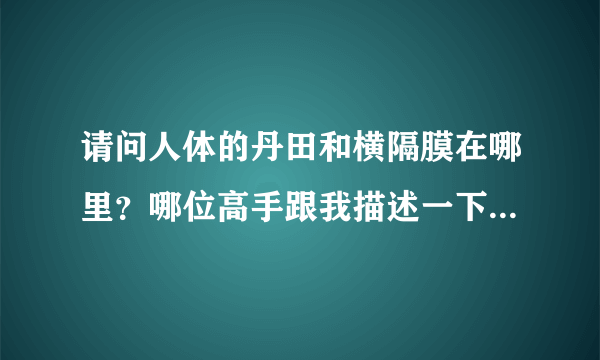 请问人体的丹田和横隔膜在哪里？哪位高手跟我描述一下，最好能清晰明了一点，我是一个美声初学着，对这...