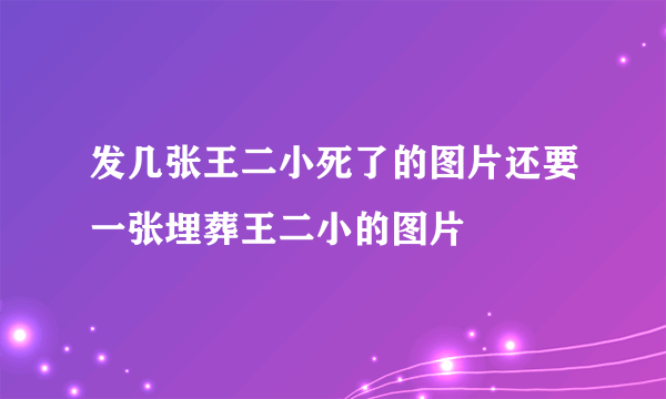 发几张王二小死了的图片还要一张埋葬王二小的图片