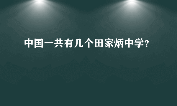 中国一共有几个田家炳中学？