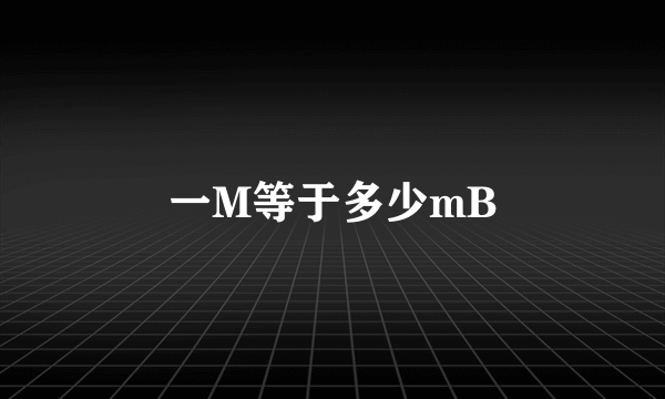 一M等于多少mB