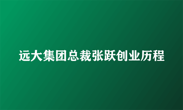 远大集团总裁张跃创业历程