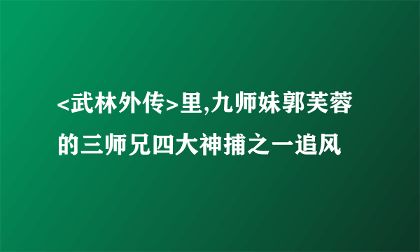 <武林外传>里,九师妹郭芙蓉的三师兄四大神捕之一追风