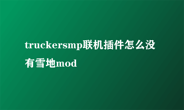 truckersmp联机插件怎么没有雪地mod