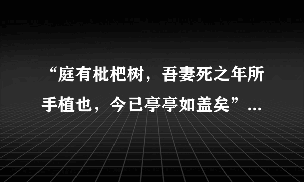 “庭有枇杷树，吾妻死之年所手植也，今已亭亭如盖矣”是什么诗