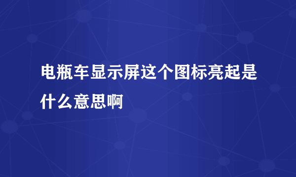 电瓶车显示屏这个图标亮起是什么意思啊